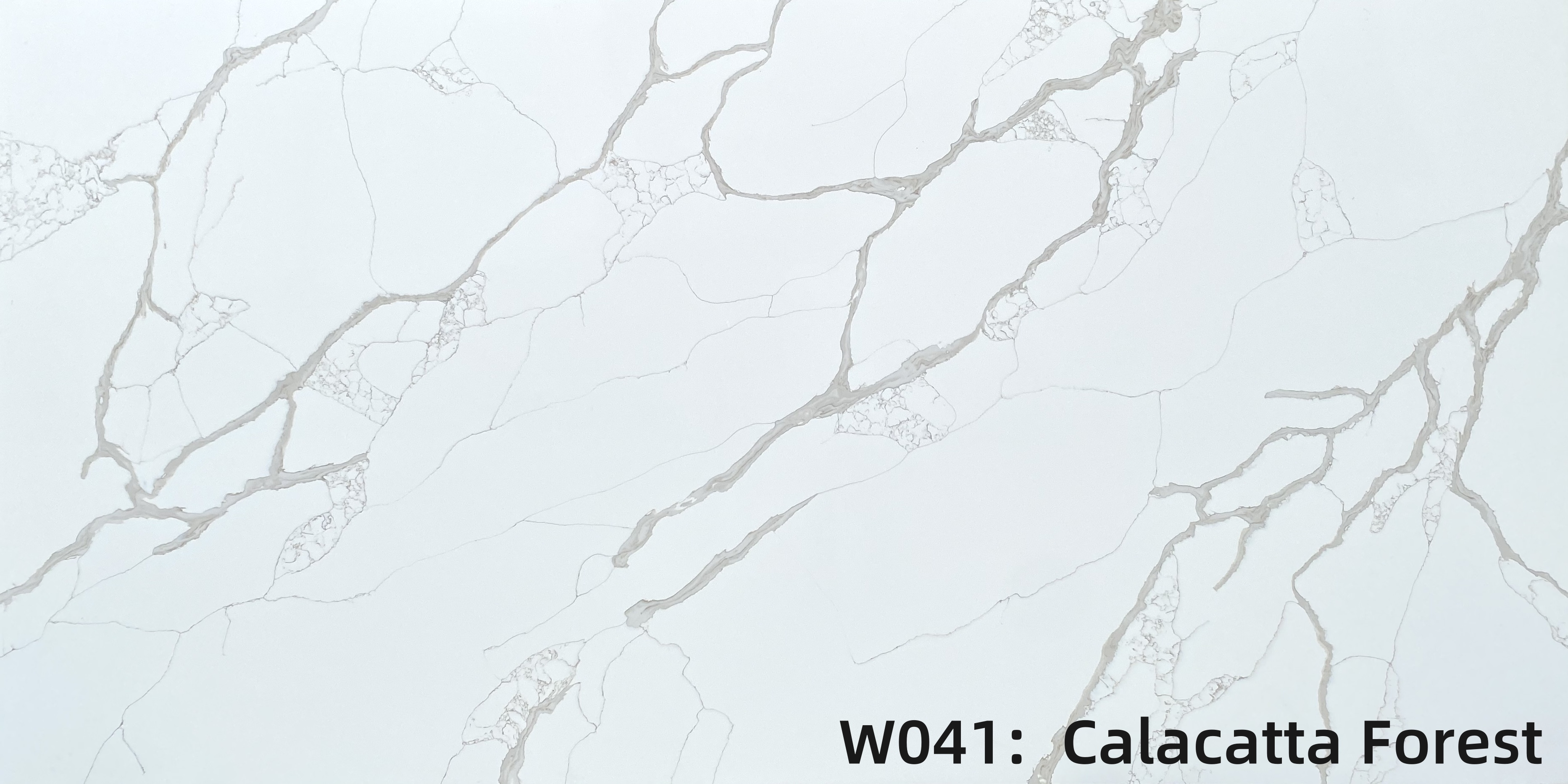 W041 CALACATTA FOREST